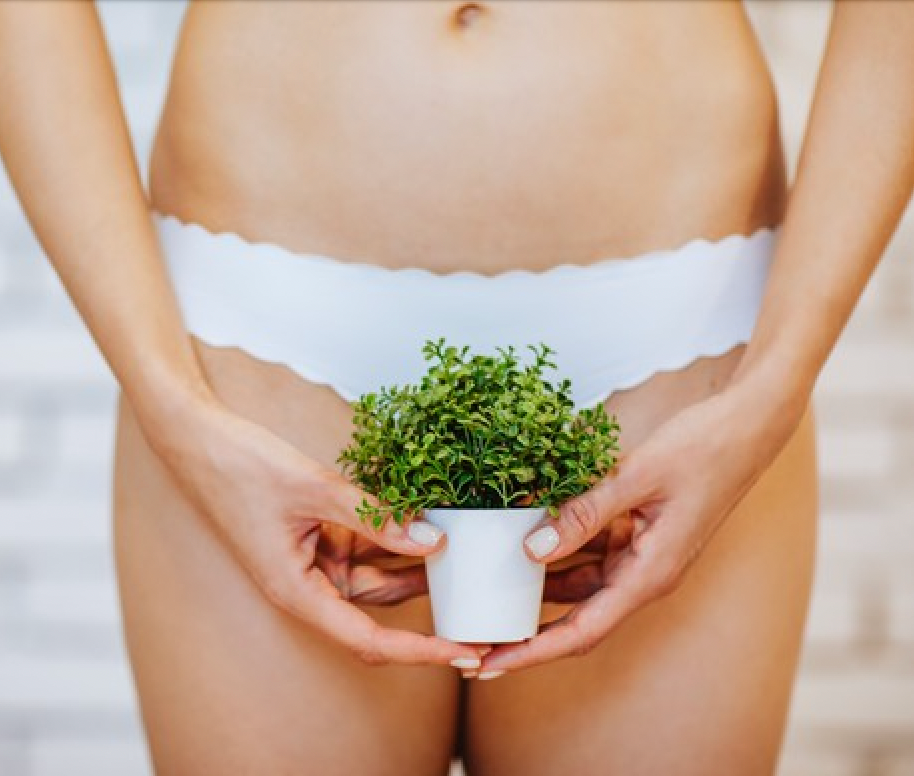 Advanced Brazilian Waxing Workshop